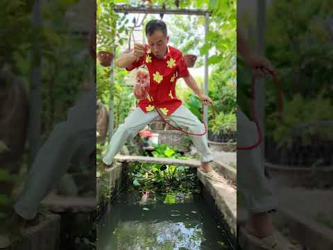 Cách Câu Cá Khổng Lồ Này Thật Kì Lạ #haongchu thumbnail