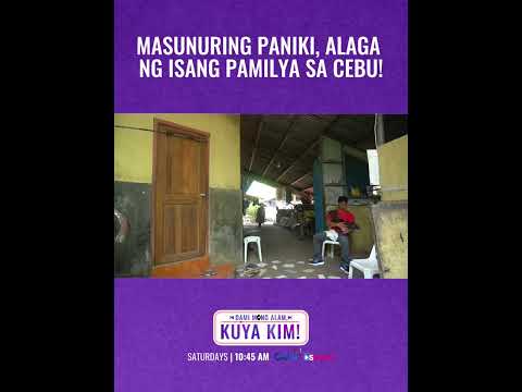 Paniki, inaalagaan ng isang pamilya sa Cebu! | Dami Mong Alam, Kuya Kim! thumbnail