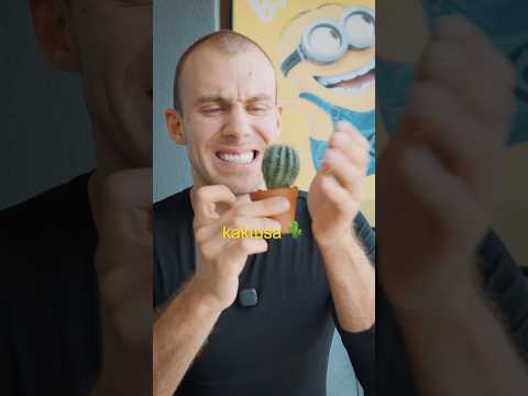 Jak Usunąć Kolce Kaktusów?? 🌵 thumbnail