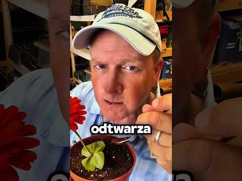 Sekret Filmowych TRIKÓW 😬🎥 thumbnail
