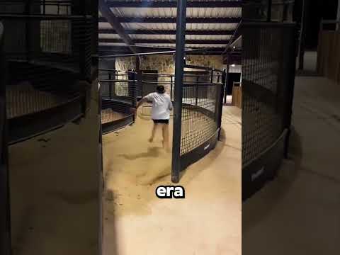 Estaba Seguro De Ser Más Rápido Que… Un CABALLO!😅 thumbnail