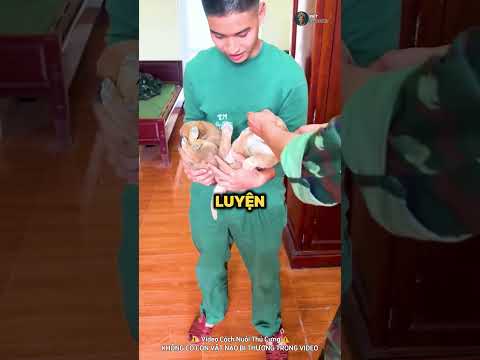 Hành Trình Ra Quân Của Đồng Chí Chó Cỏ ?? thumbnail