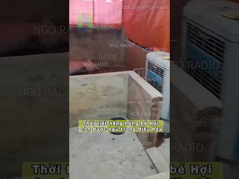 Thời tiết nắng nóng bé Hợi còn được ngủ trong điều hòa thumbnail