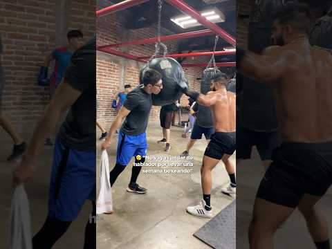 Una semana y ya se sienten el canelo 😂 thumbnail