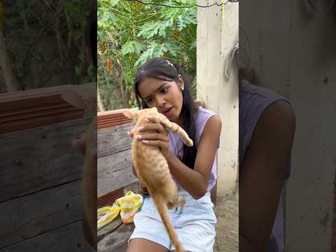 Tuve que Hablar con mi Gato #humor #comedy #family thumbnail