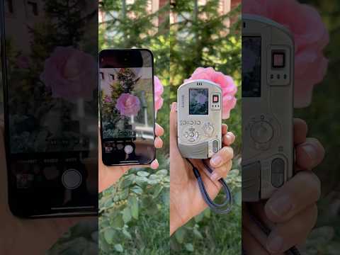 Sony 2003 vs iPhone 15 pro max thumbnail
