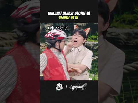 BB 바르고 하이바 쓴 원숭이 공개 | 개그콘서트 Gagconcert | KBS 260517 방송 thumbnail