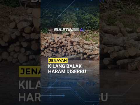 JENAYAH | PGA Serbu Kilang Balak Haram, Rampasan Cecah RM4.3 Juta thumbnail