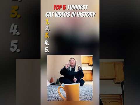 TOP 5 FUNNIEST CAT VIDEOS?? #catvideos #funnycats #funnycatvideos thumbnail