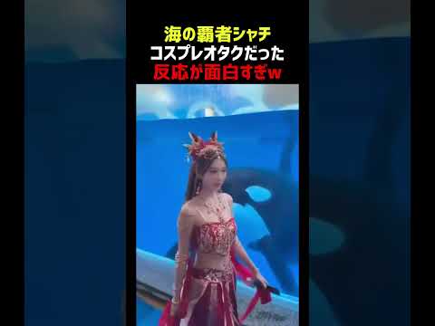 シャチにコスプレパレードを見せた結果 thumbnail