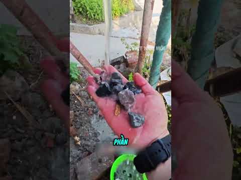 Đây là cách nhiều chủ nhà kiểm tra bê tông tươi thumbnail