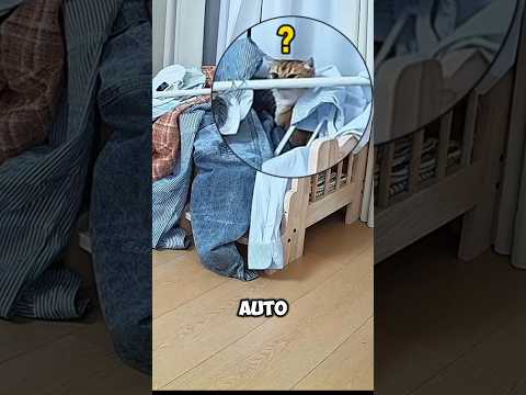 Si Bontot ketimpa jemuran ? thumbnail