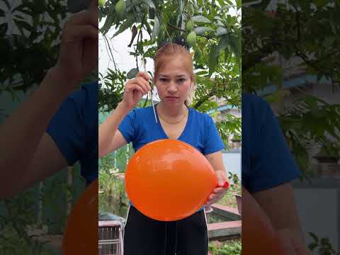 Prank on cat   Lihat Kucing Lagi Tidur Ini Pasti Kaget  #funny #automobile thumbnail