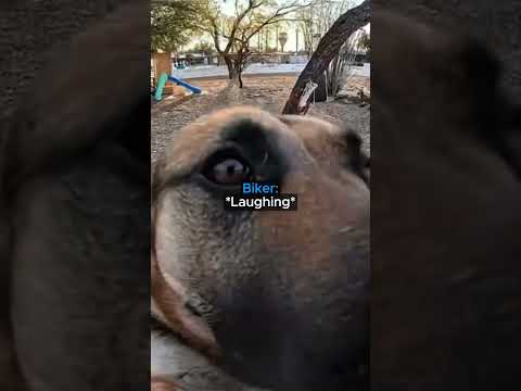 He made a new best friend! thumbnail
