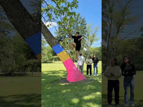 Who can climb the highest! thumbnail