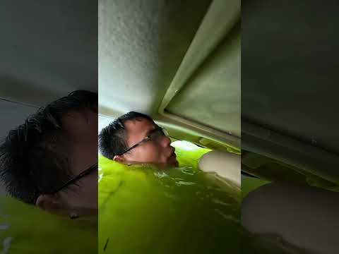 Do you know how to escape from inside a car? #car #automobile thumbnail