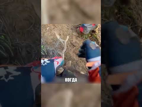 Этот дикий олень намертво ЗАПУТАЛСЯ В ЛЕСКЕ🦌💔🚨 thumbnail