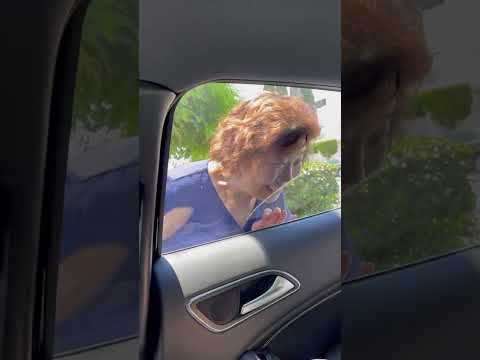 Toddler & grandma have a precious relationship thumbnail