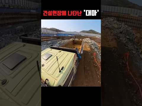 "누가 좀 잡아가주세요" #초보운전 #덤프트럭 #극한직업 thumbnail