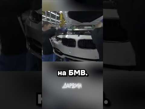 Благодарность от БМВ thumbnail