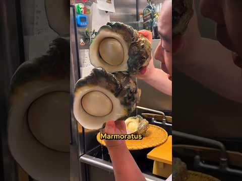 Cara Koki Mengolah Siput Laut Besar Turbo Marmoratus thumbnail