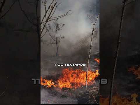 ЧЕРНОБЫЛЬ Горит: Дым Идет в Россию thumbnail