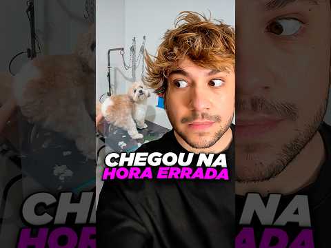 chegou na hora errada @leleth_almeida #livedobrino #humor #MundinhoBrino thumbnail