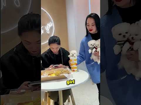 This Girl Has Puppies Everyone Wants ? thumbnail