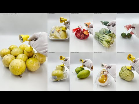 Fruits Vegetables Spoof Luxo Lamp Shorts 8 thumbnail
