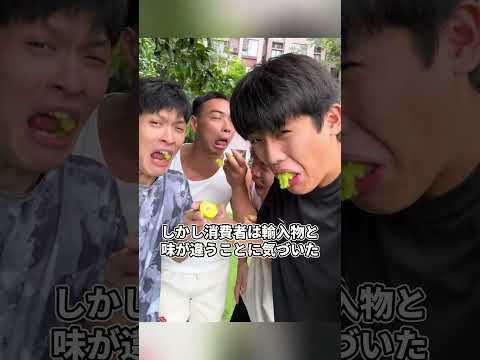 韓国が日本のマスカットを盗み最終的に産業崩壊の惨敗で終わった結果やばすぎる thumbnail