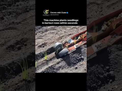 This Farming Machine Plants Perfect Rows 🌱🚜 thumbnail