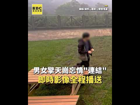 擎天崗變打卡聖地！百人夜衝看恐龍野戰、戰鬥陀螺 #shorts thumbnail