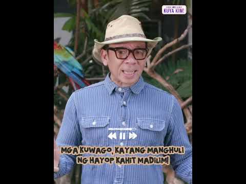 Alam n’yo ba na mas aktibo sa gabi ang mga kuwago? | Dami Mong Alam, Kuya Kim! thumbnail