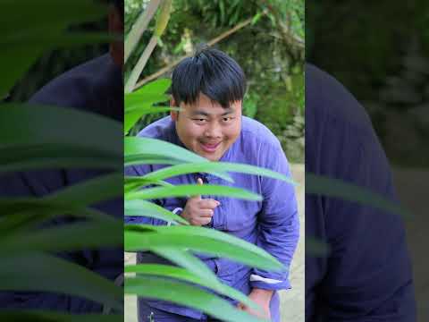 SongSong finally got revenge on ErMao #funny #mukbang thumbnail