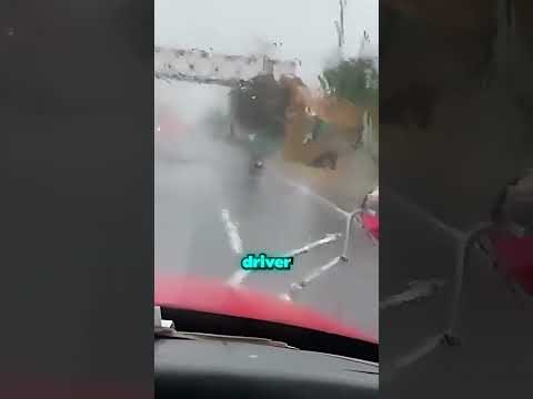 Truck Driver Reunites With Old Friend ❤️ thumbnail