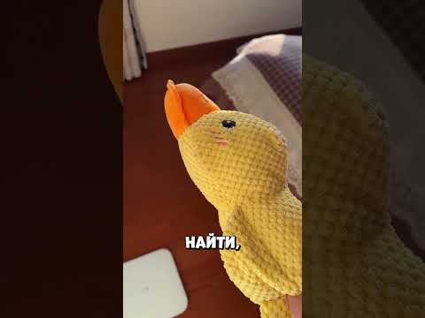 Он скучал по псу пока не произошло это #shorts thumbnail