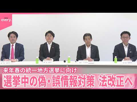 【選挙中の偽・誤情報対策】SNS事業者の責任明確化など  与野党、今国会での法改正行う方針で合意 thumbnail
