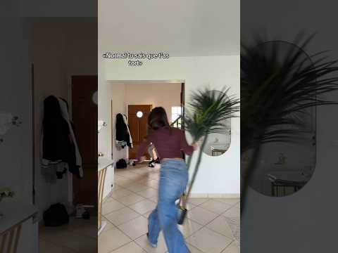 MON COPAIN LE MENTEUR !!!! #shortvideo #humour #humor thumbnail