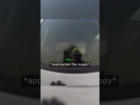 Bikers Rescue A Dog In A Car thumbnail