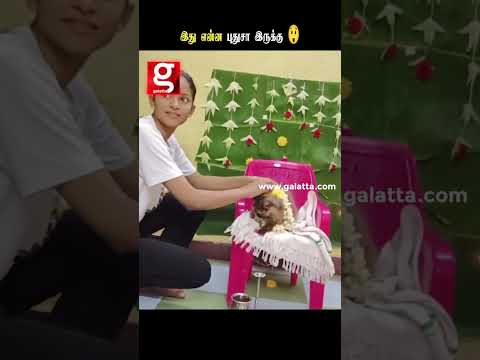 பூனைக்கு வளைகாப்பா😲 இது என்ன புதுசா இருக்கு😮| Shocking | #viral | #shorts thumbnail