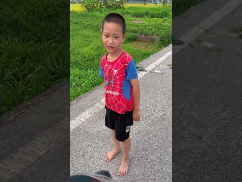 Ông a họ Khánh lại lang thang gì ở đây #thadieu #dieusao #thadieusao #shorts #caulongbocondua thumbnail
