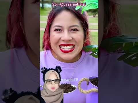 Kamu Mau Tanah 😬⁉️ @Layaraoficial thumbnail