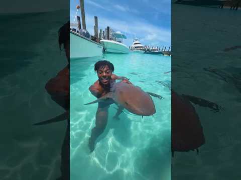 I WENT SWIMMING WITH SHARKS!! 😳🦈 thumbnail