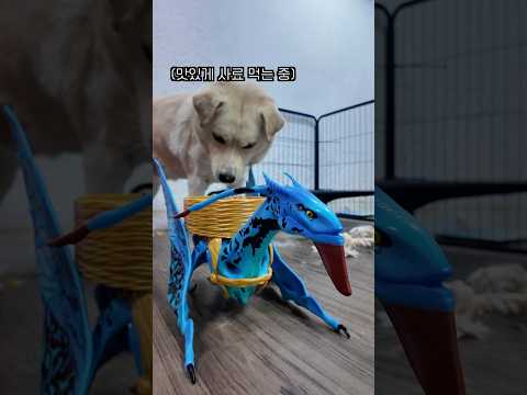 74900원 아바타 팝콘통의 최후 thumbnail