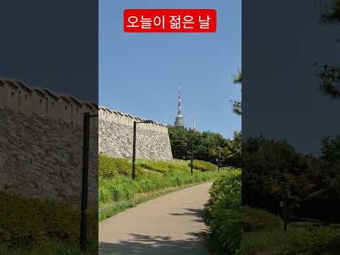 초여름이 급행열차타고 왔네요. #오늘이젊은날 나이야가라  #한양도성성곽 #남산산책 #홍지윤 #전유진 #트로트 #안중태tv #shorts thumbnail