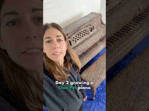 I COVERED A PIANO IN CHIA SEEDS thumbnail