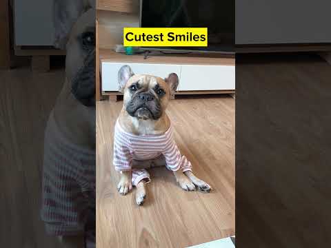 Nobody Tells You About This😱 🤣 **Click Link Above To Watch Full Video thumbnail