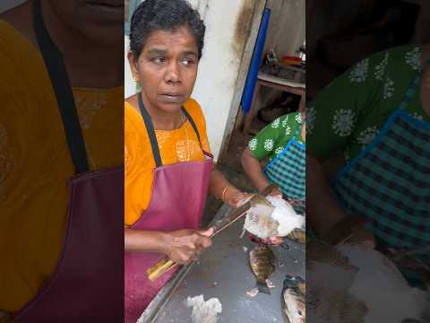 കരിമീൻ ഇങ്ങനെ ചെത്തിയെടുക്കാൻ ചില്ലറ പരിചയം ഒന്നും പോര 🐟 #karimeen #fishcutting #fishmonger #fish thumbnail