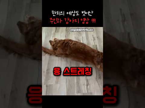 다음 장면 예측 전부 실패한 영상 thumbnail