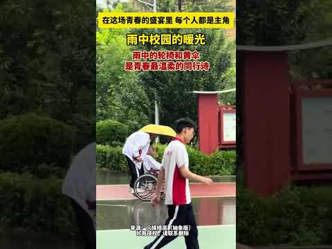 在這場青春的盛宴裡，每個人都是主角。雨中校園的暖光，雨中的輪椅和黃傘，是青春最溫柔的同行詩。 thumbnail
